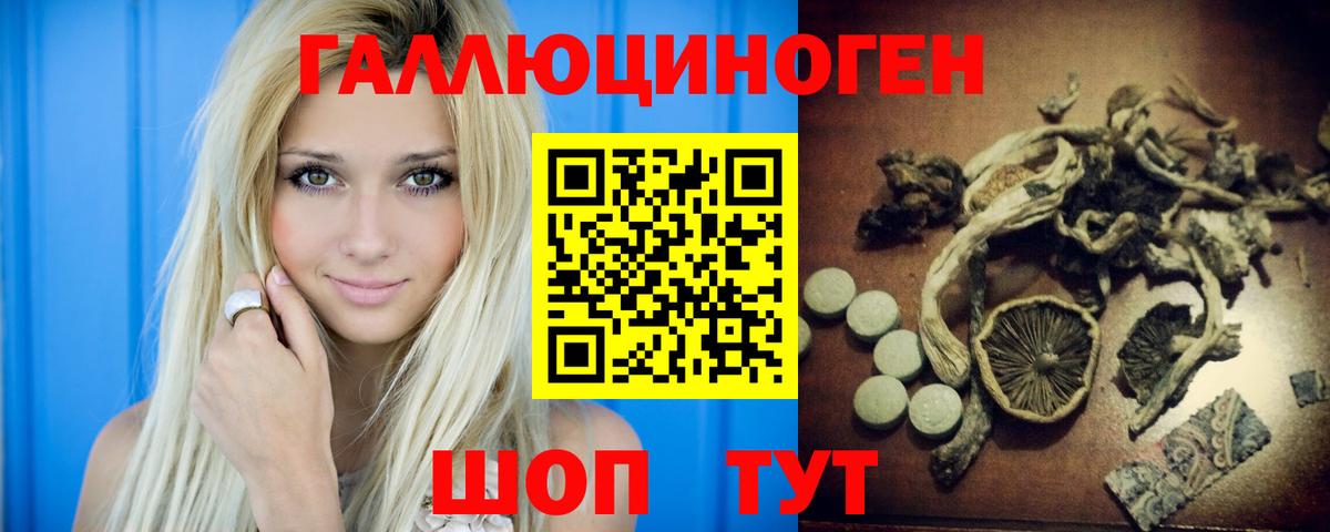 Тайшет  Псилоцибиновые грибы Magic Shrooms  Галлюциногенные грибы мухоморы  Вход с VPN 